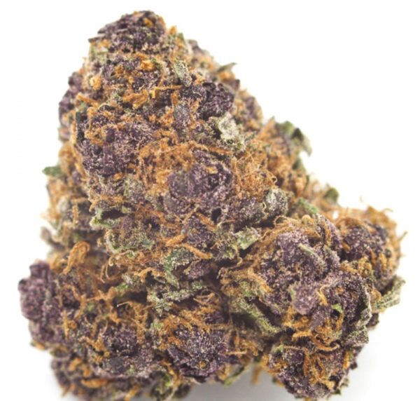Purple Kush