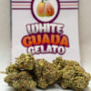 buy Guava Gelato strain online