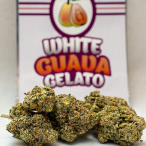 buy Guava Gelato strain online