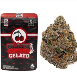 buy black cherry gelato backpackboyz