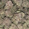 buy True OG Strain online