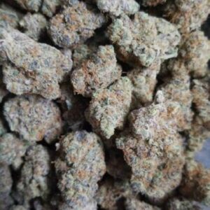 buy Gelato 33 online