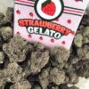 strawberry gelato strain