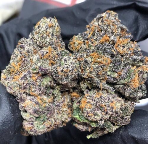 buy weed online sarnia